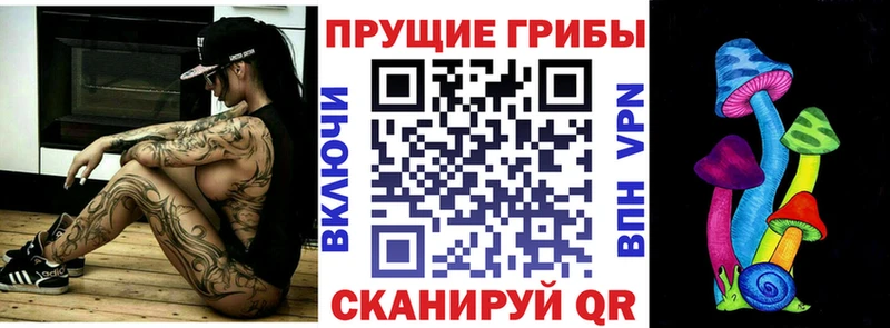Псилоцибиновые грибы Psilocybe  где купить наркоту  Берёзовка 