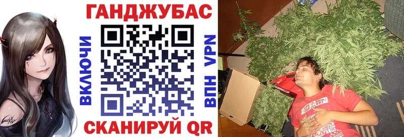 Бошки Шишки планчик  как найти наркотики  Берёзовка 